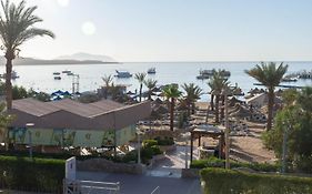 Cataract Layalina Naama Bay